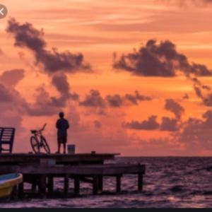 Meet your Posher, Makayla